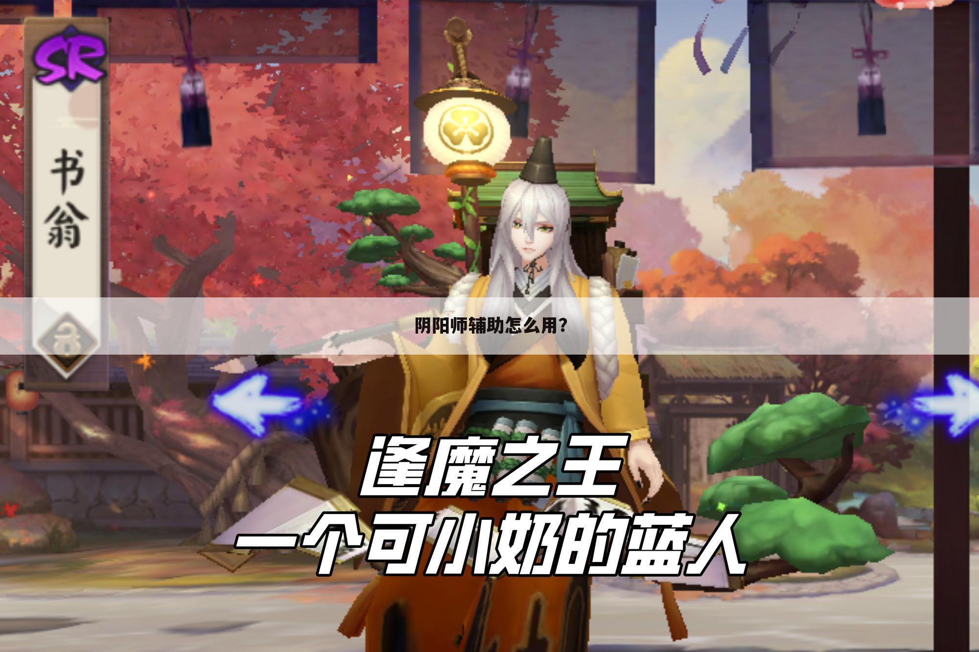 阴阳师辅助怎么用?