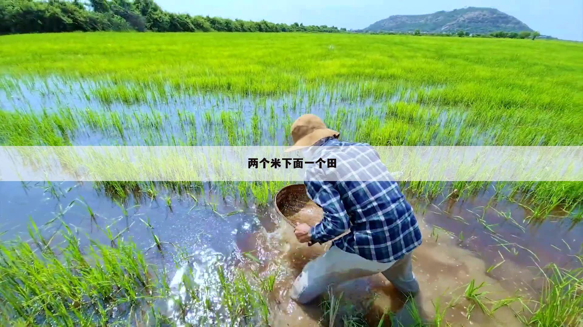 两个米下面一个田
