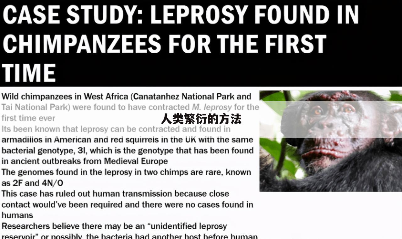 人类繁衍的方法