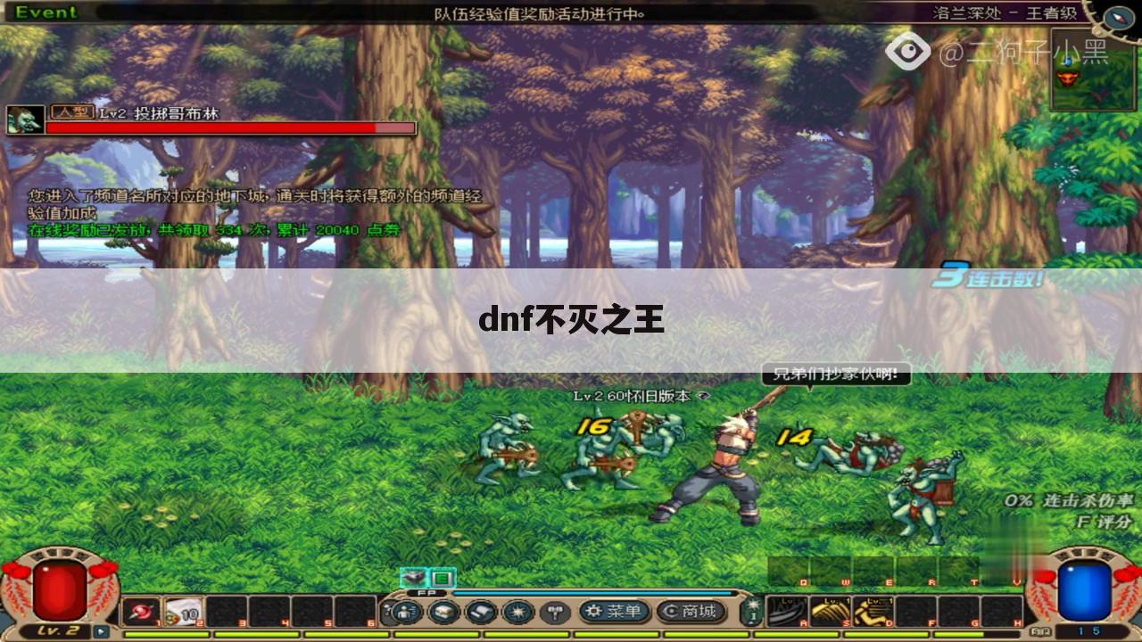 dnf不灭之王