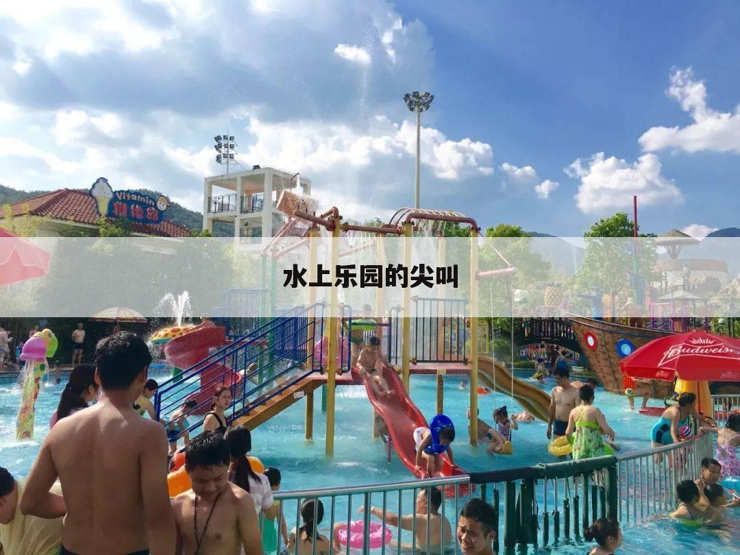 水上乐园的尖叫
