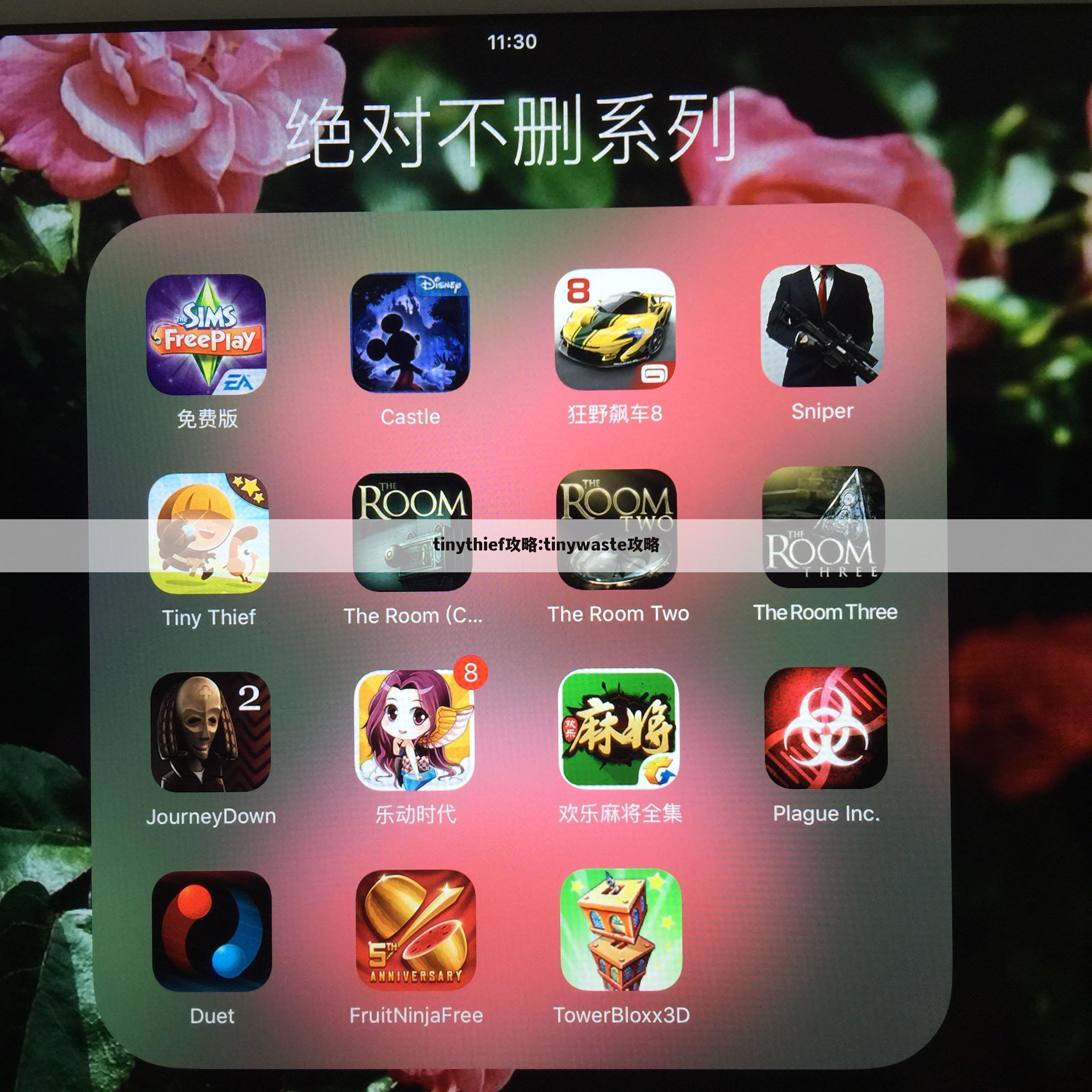 tinythief攻略:tinywaste攻略