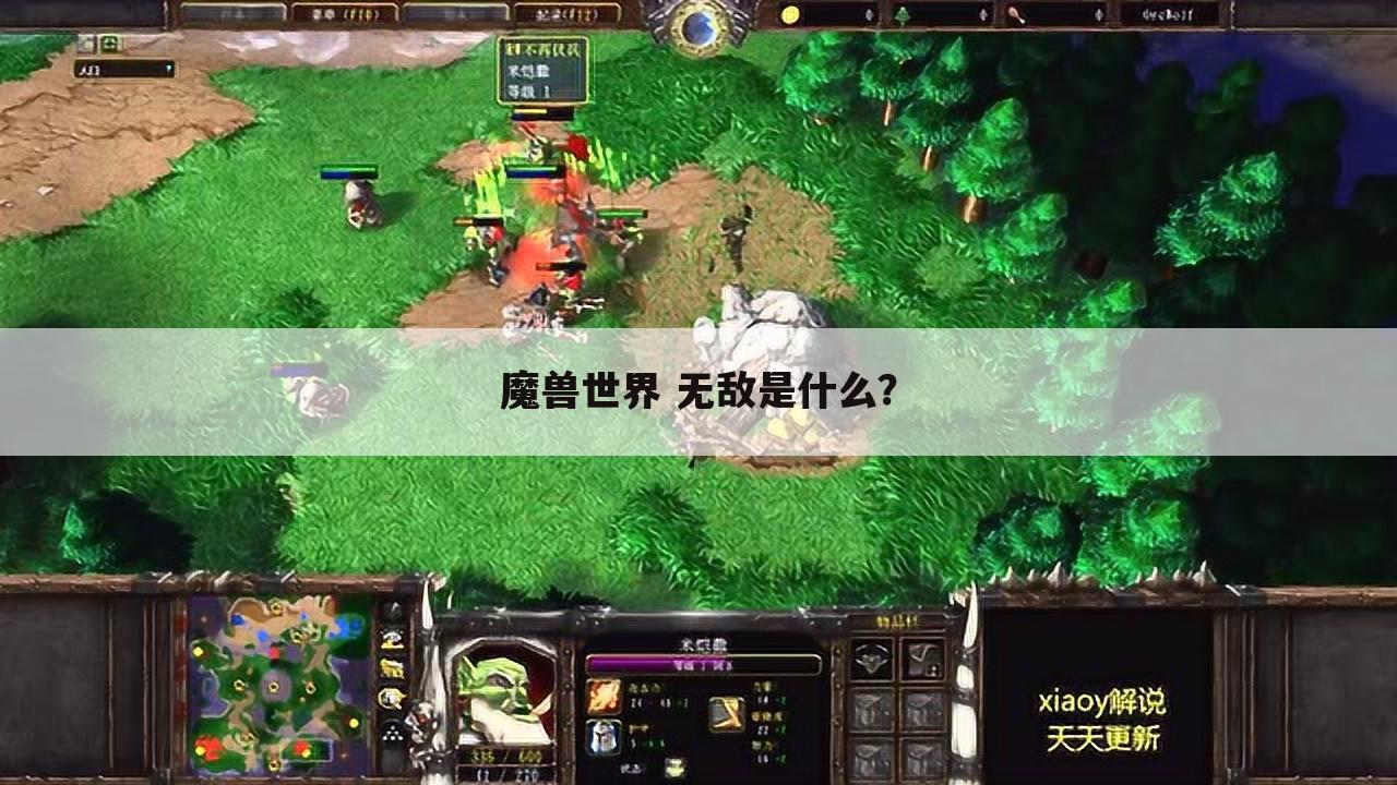 魔兽世界 无敌是什么?