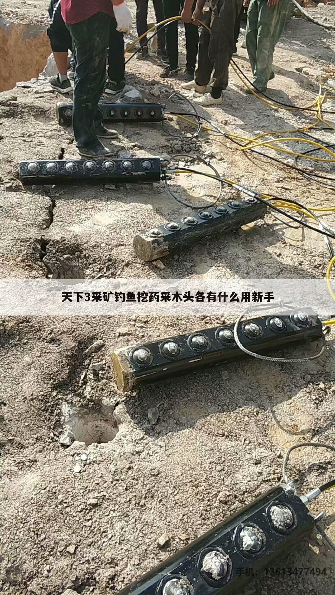 天下3采矿钓鱼挖药采木头各有什么用新手