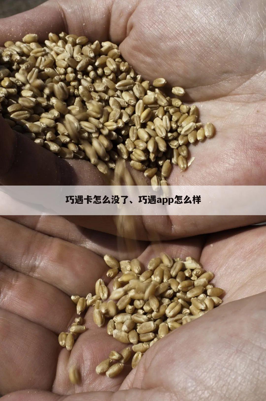 巧遇卡怎么没了、巧遇app怎么样