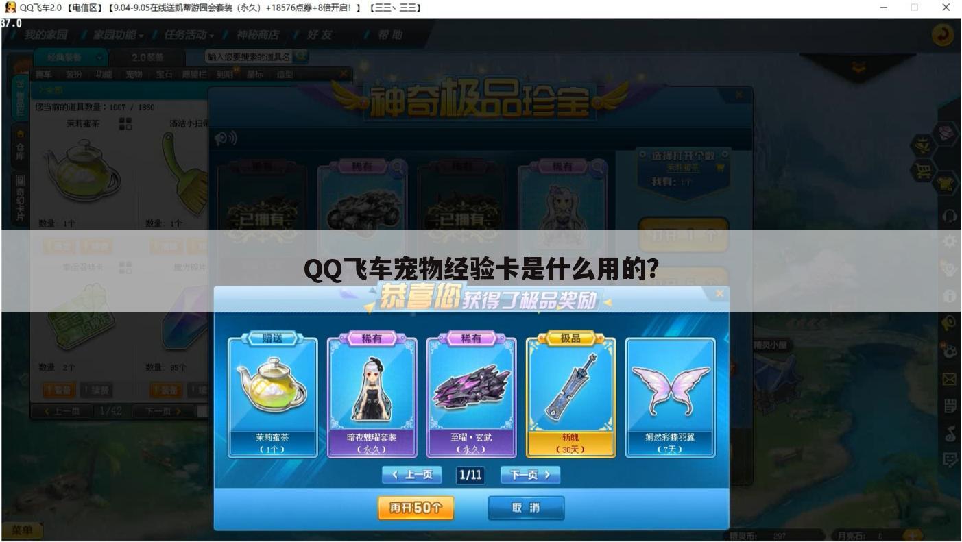 QQ飞车宠物经验卡是什么用的?