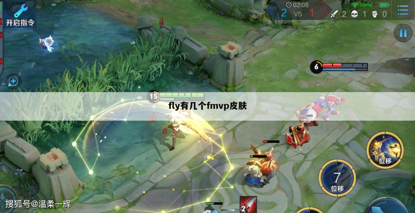 fly有几个fmvp皮肤