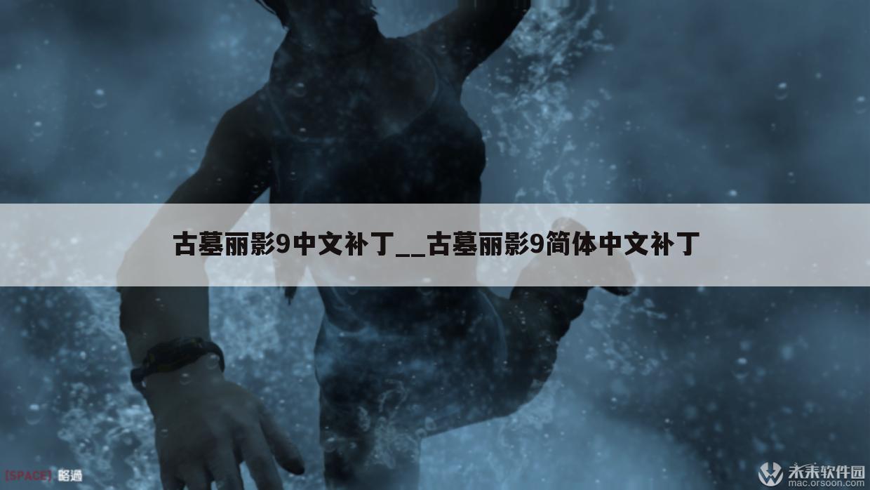 古墓丽影9中文补丁__古墓丽影9简体中文补丁