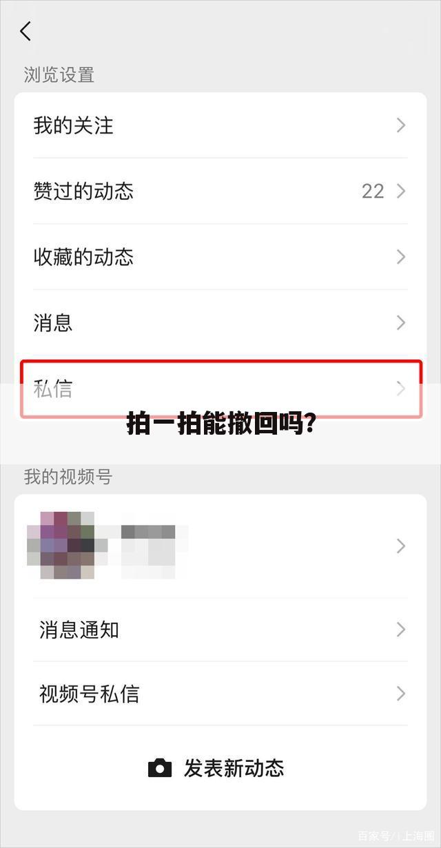 拍一拍能撤回吗?