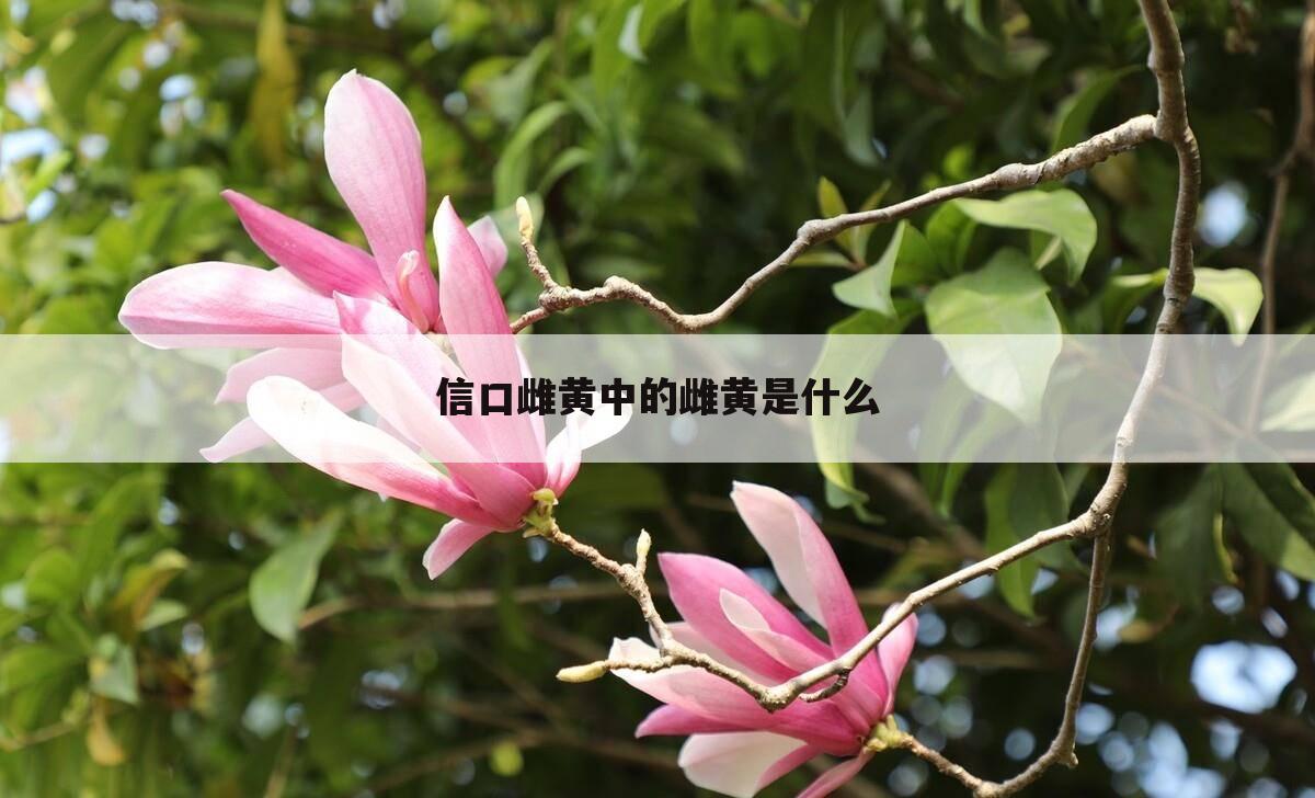 信口雌黄中的雌黄是什么