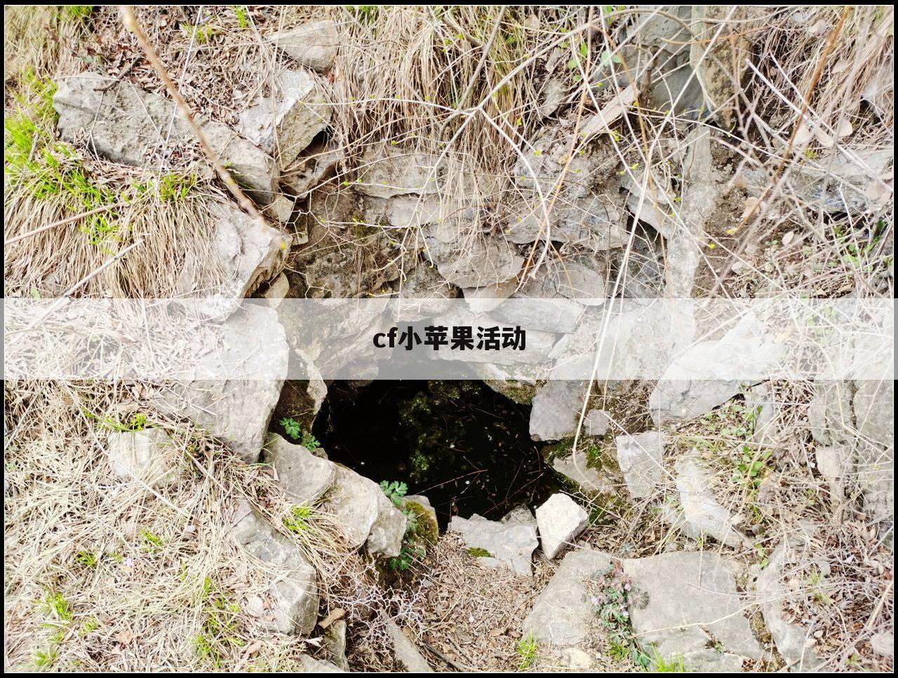 cf小苹果活动