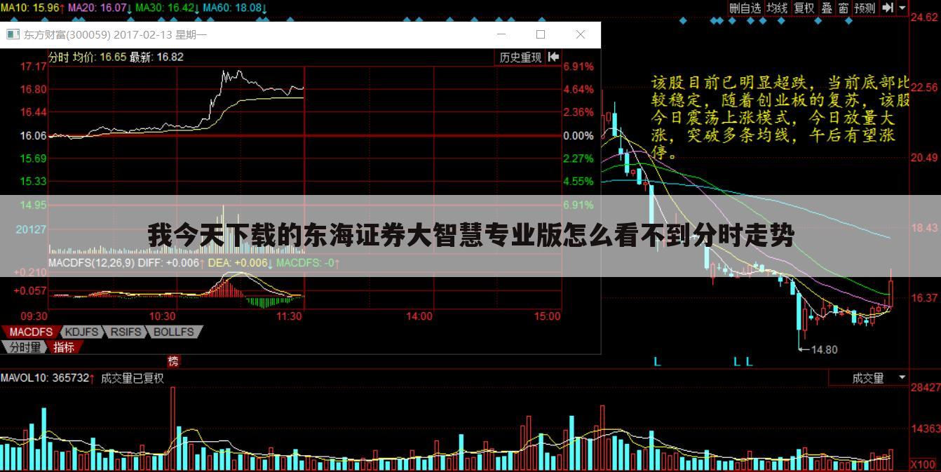 我今天下载的东海证券大智慧专业版怎么看不到分时走势