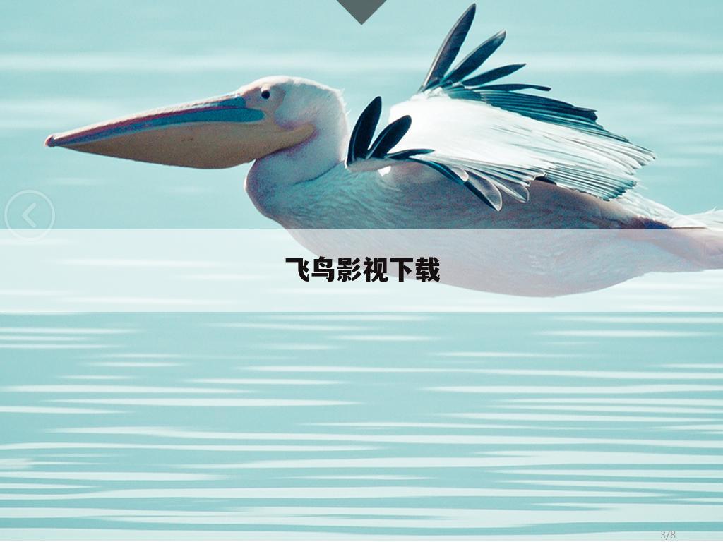 飞鸟影视下载