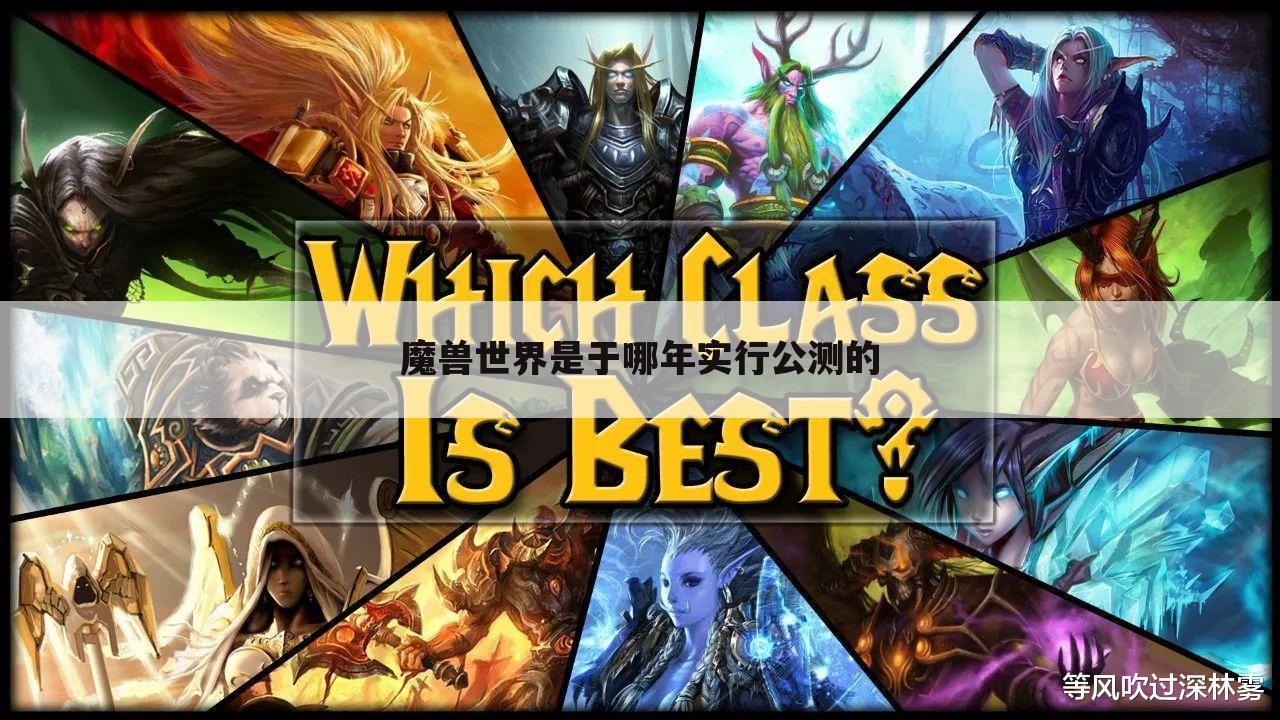 魔兽世界是于哪年实行公测的
