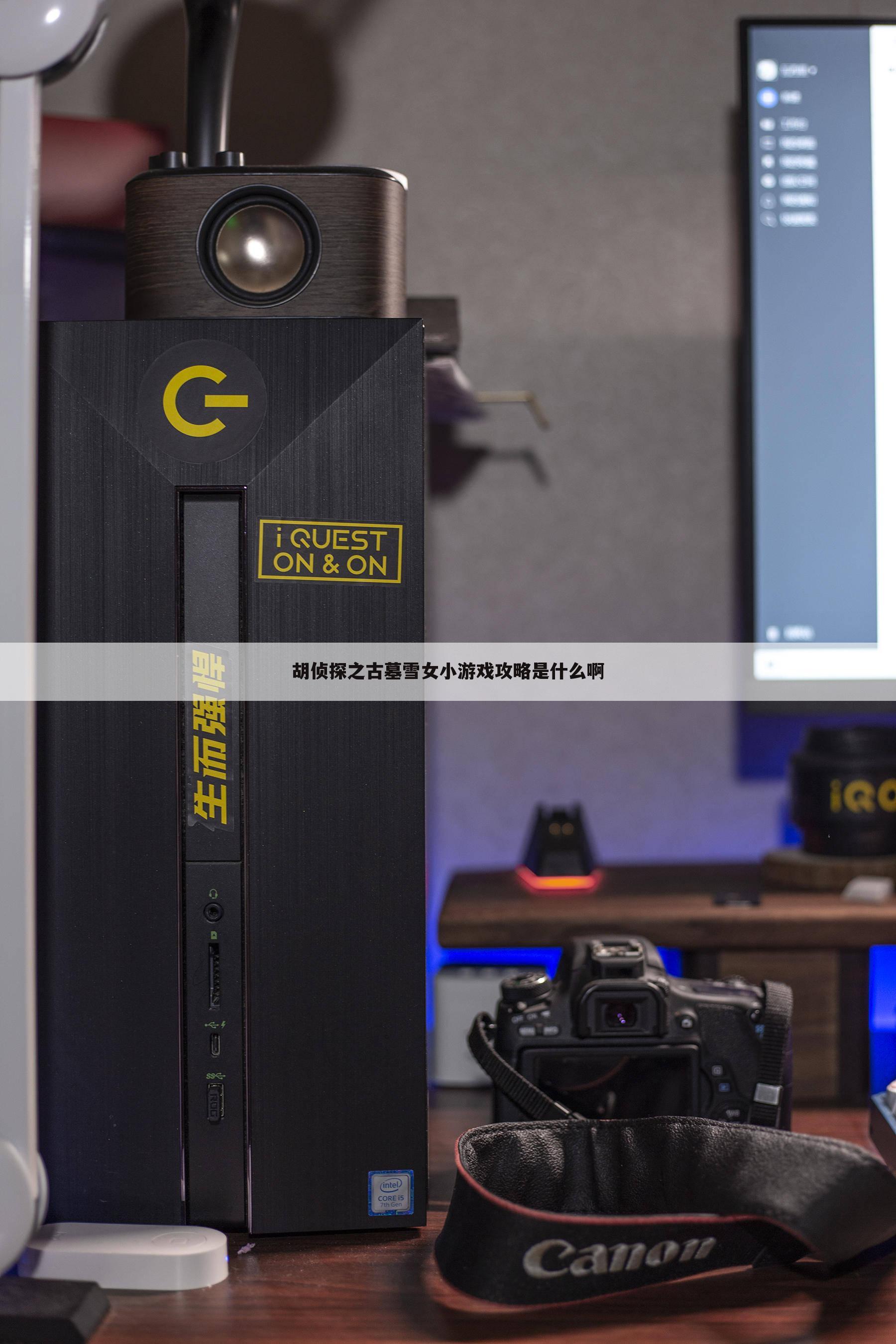 胡侦探之古墓雪女小游戏攻略是什么啊
