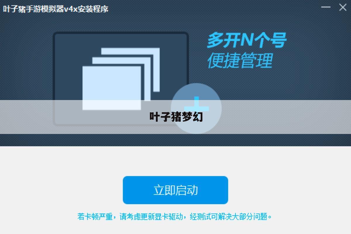 叶子猪梦幻