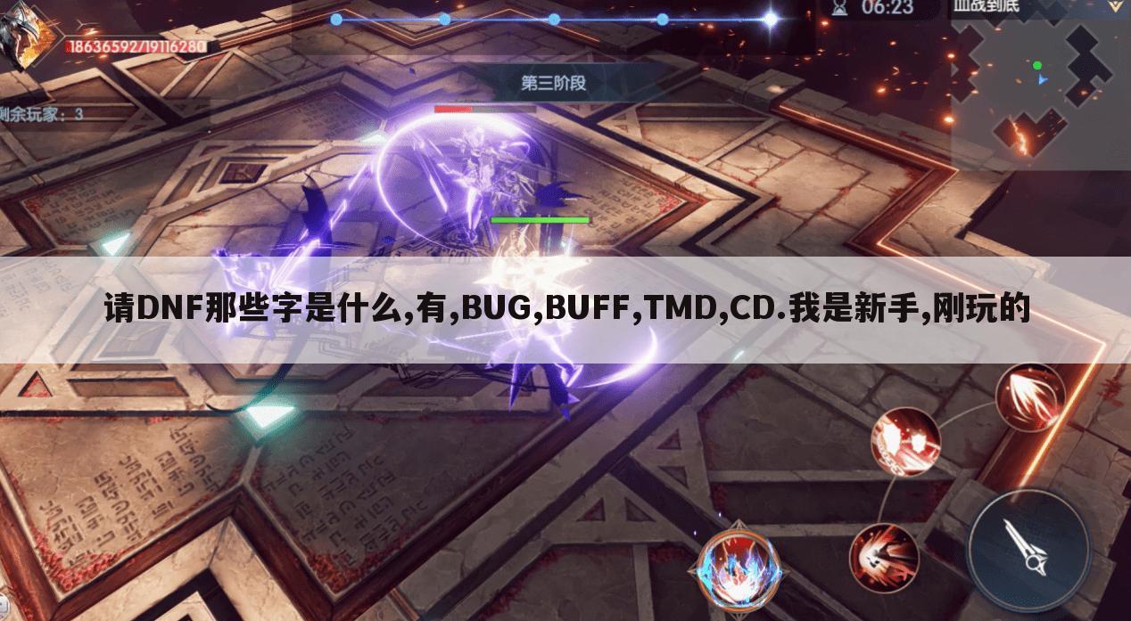 请DNF那些字是什么,有,BUG,BUFF,TMD,CD.我是新手,刚玩的
