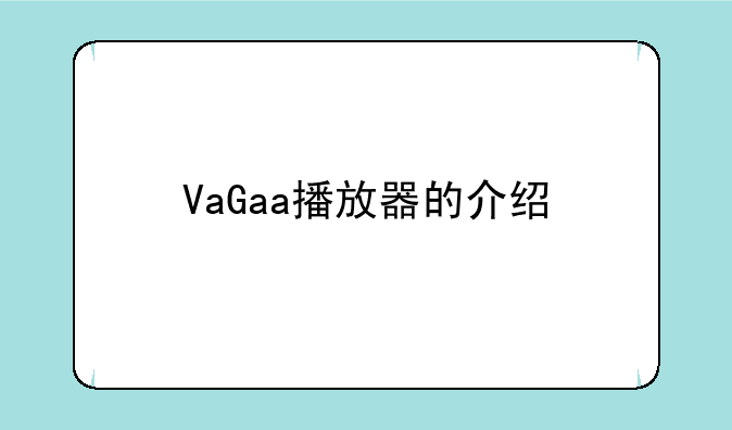 VaGaa播放器的介绍