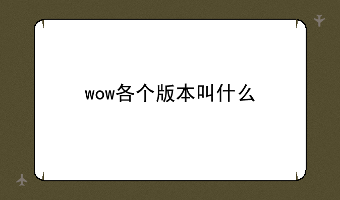 wow各个版本叫什么
