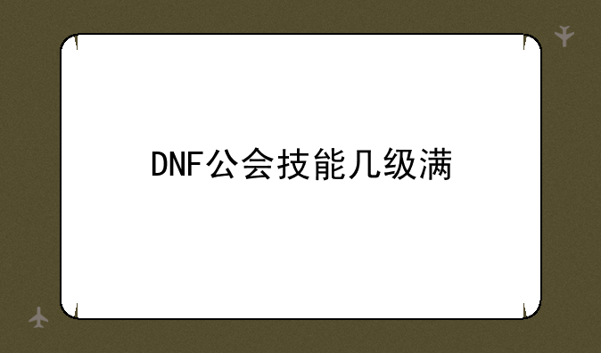 DNF公会技能几级满