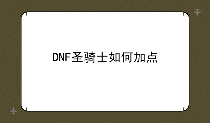 DNF圣骑士如何加点