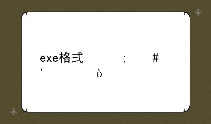 exe格式怎么安装？