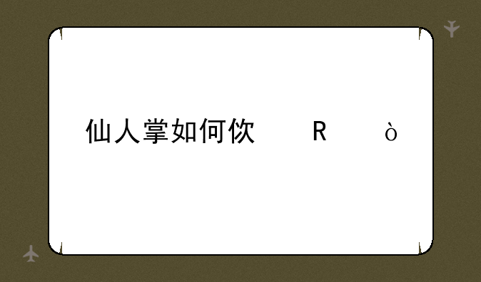 仙人掌如何使用？