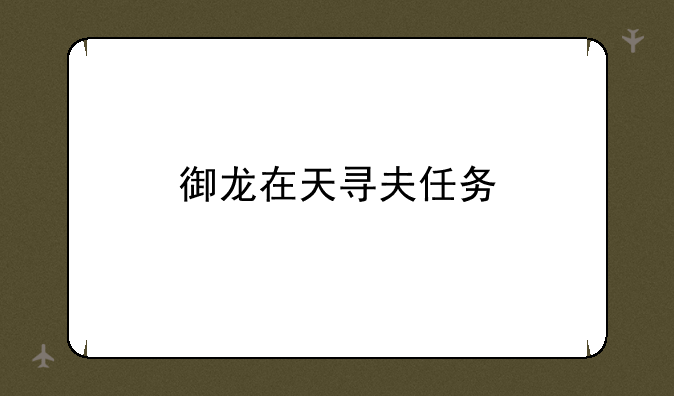 御龙在天寻夫任务