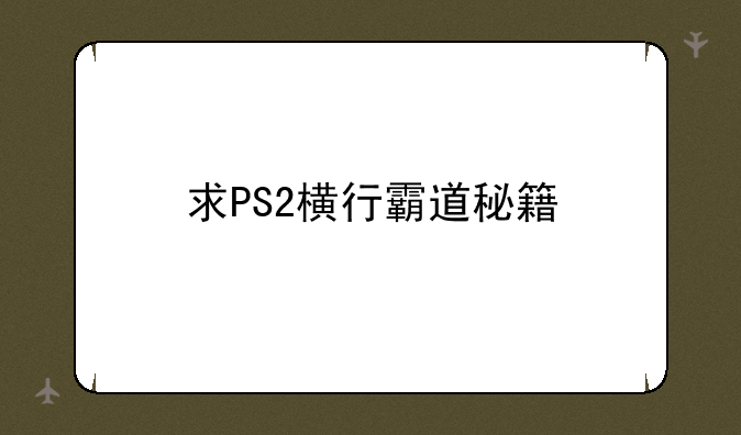 求PS2横行霸道秘籍