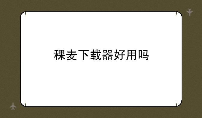 稞麦下载器好用吗