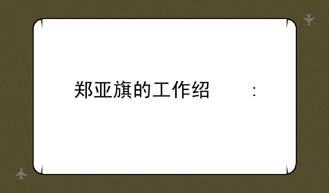 郑亚旗的工作经历