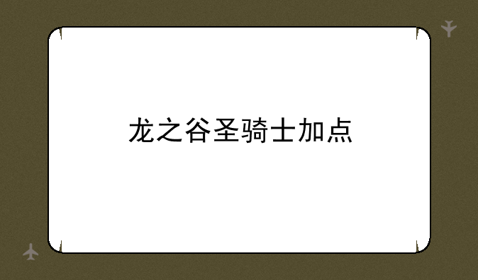 龙之谷圣骑士加点