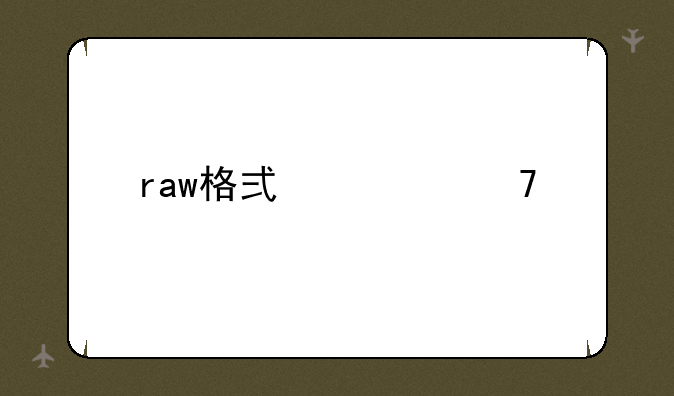 raw格式修复工具