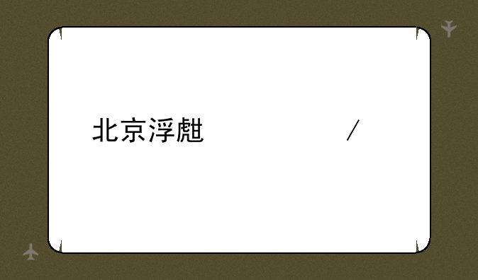 北京浮生记下载