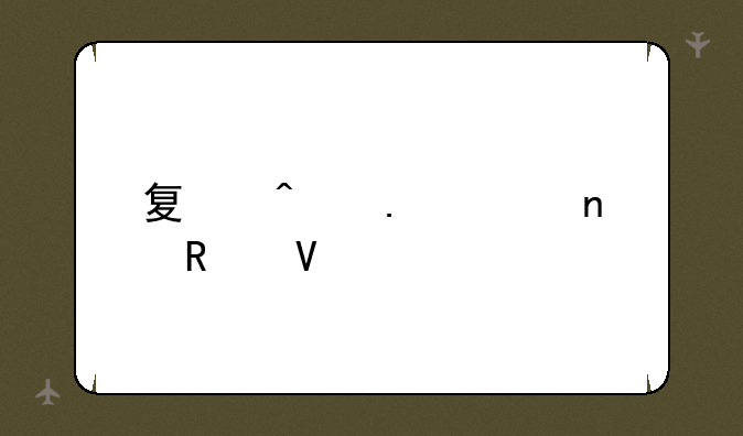 夏日狂想曲攻略