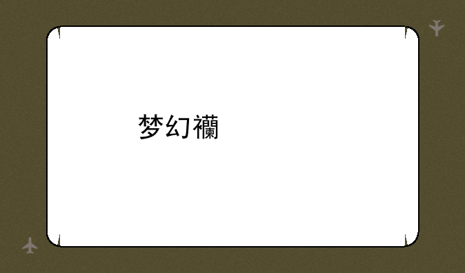 梦幻西游打不开
