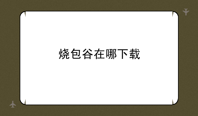 烧包谷在哪下载