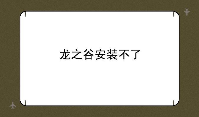 龙之谷安装不了