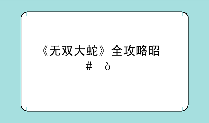 《无双大蛇》全攻略是什么？