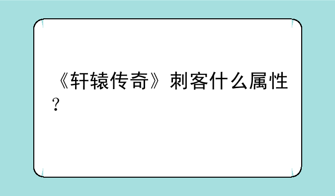《轩辕传奇》刺客什么属性？