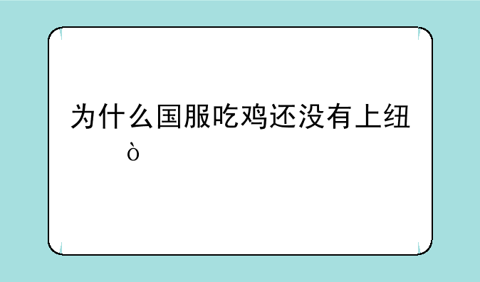 为什么国服吃鸡还没有上线？