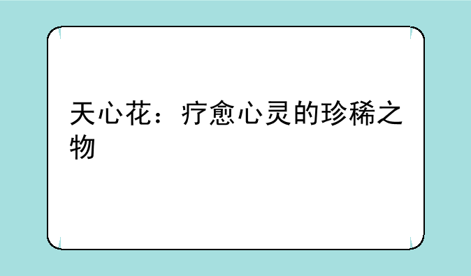 天心花：疗愈心灵的珍稀之物