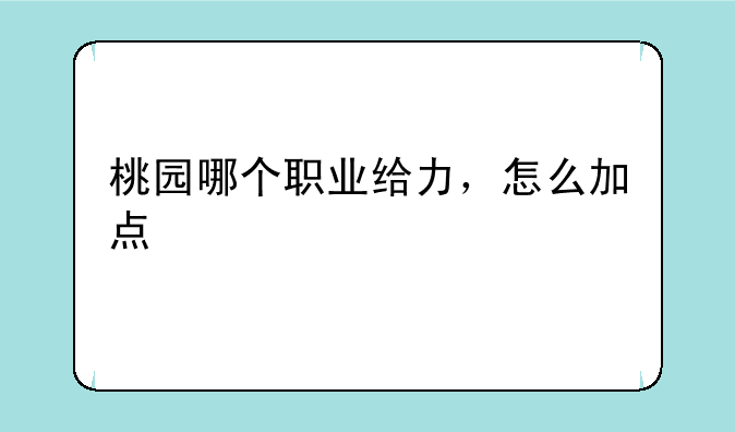 桃园哪个职业给力，怎么加点