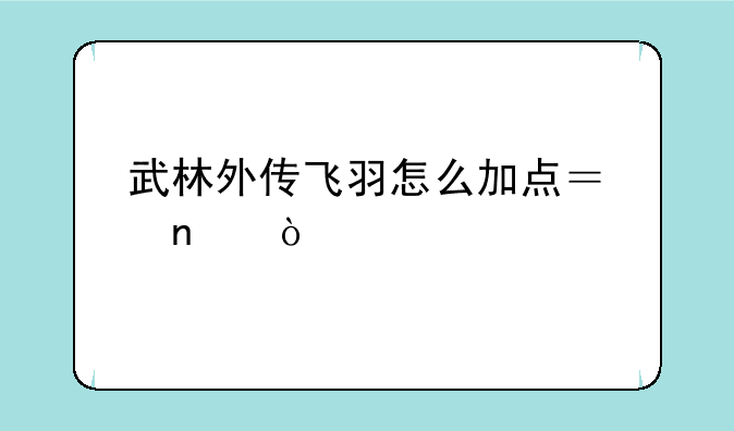 武林外传飞羽怎么加点？图！