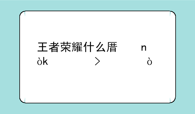 王者荣耀什么原因会封号365？