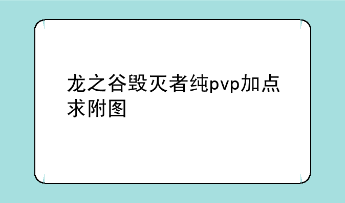 龙之谷毁灭者纯pvp加点求附图