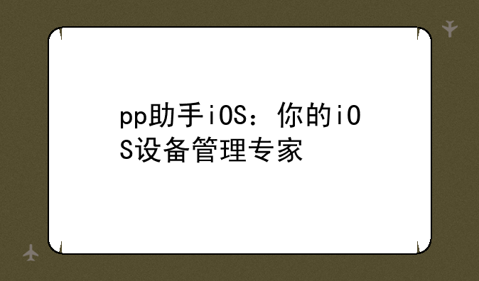 pp助手iOS：你的iOS设备管理专家
