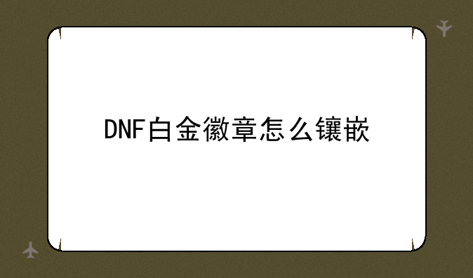 DNF白金徽章怎么镶嵌