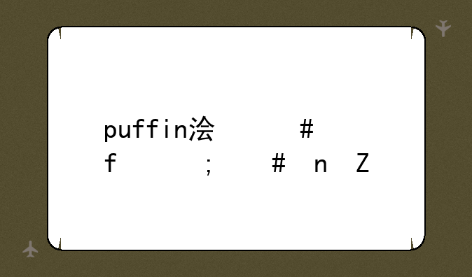 puffin浏览器怎么更新