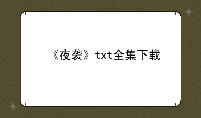 《夜袭》txt全集下载